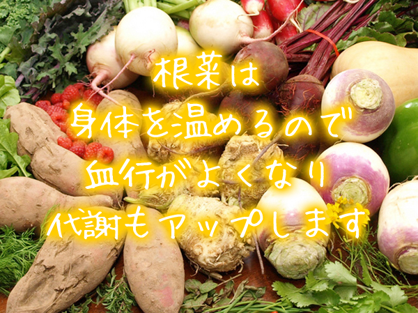 頭皮湿疹の食べ物：根菜：身体を温め代謝をアップ.jpg
